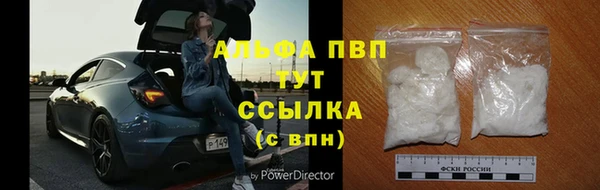 СК Вязники